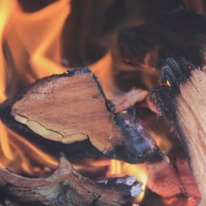 Log burning